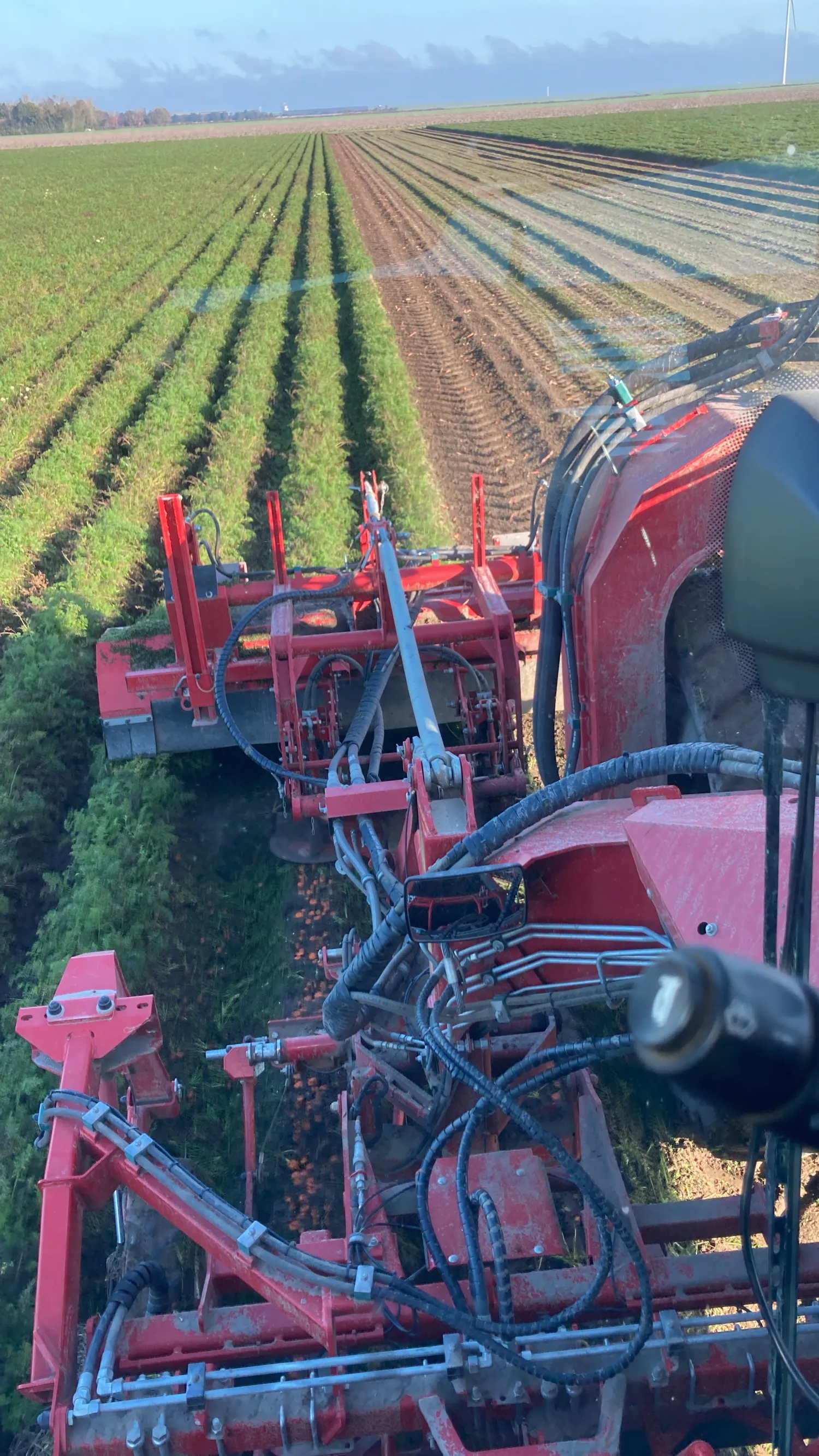 Wortels rooien: Versmarkt & Industrie | Grimme Varitron