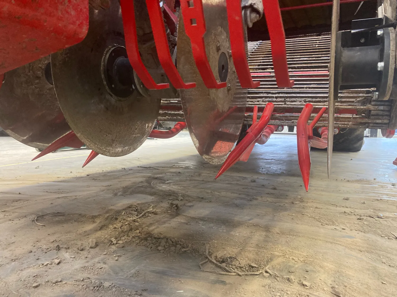 Wortels rooien: Versmarkt & Industrie | Grimme Varitron