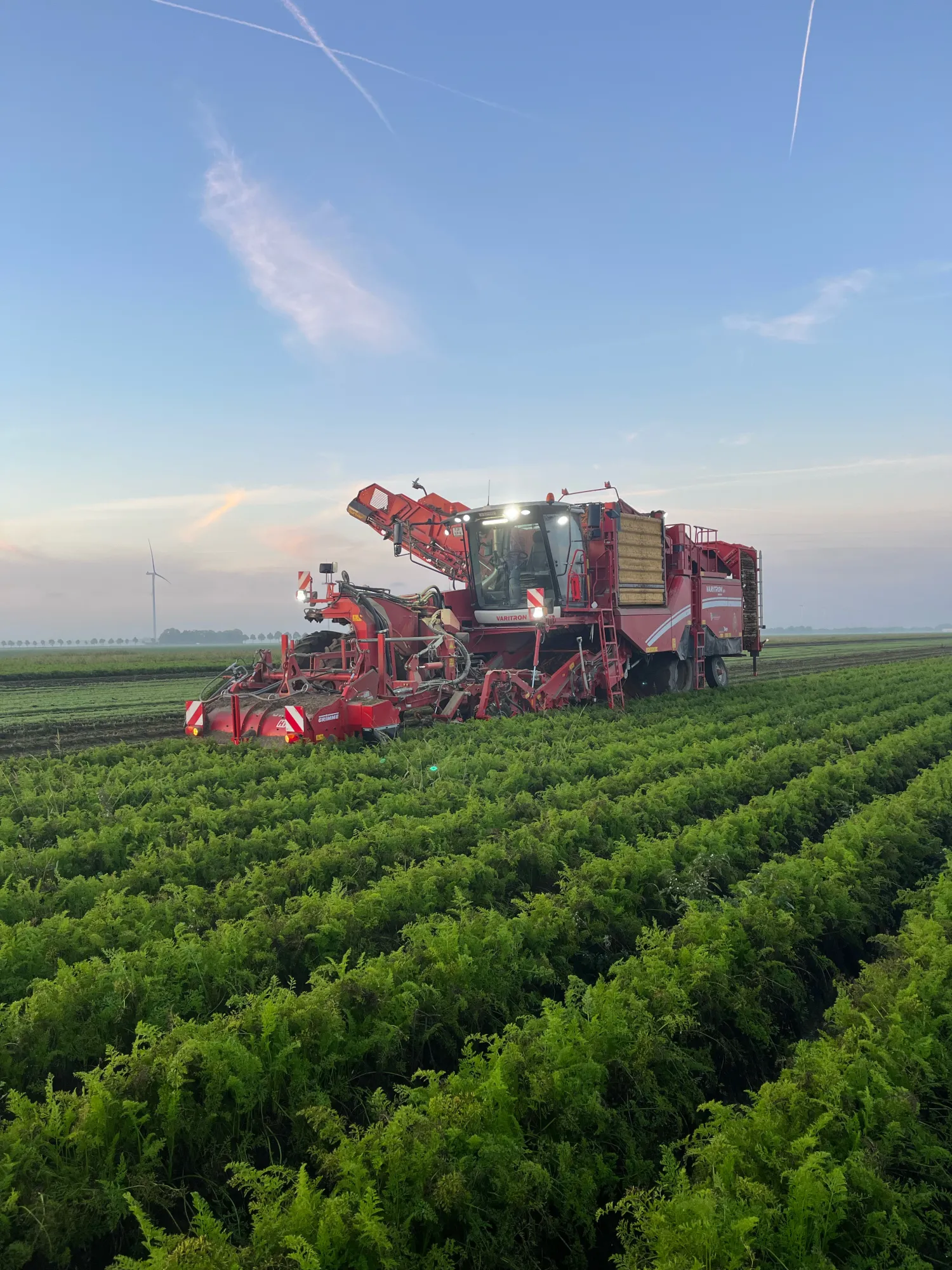 Wortels rooien: Versmarkt & Industrie | Grimme Varitron