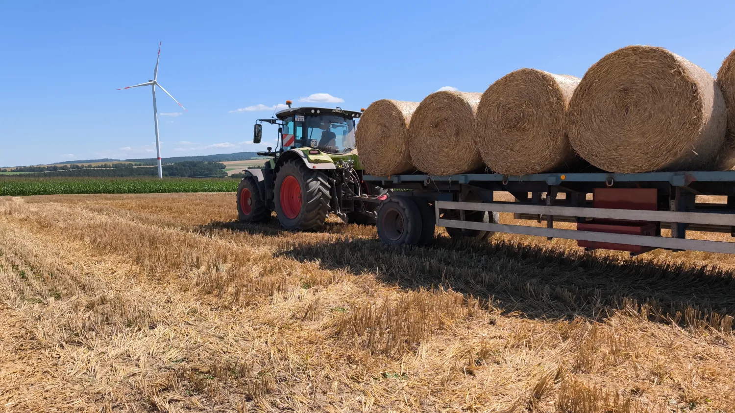 Stroh Rundballen zu verkaufen – Ernte 2025, Ø 1,25m