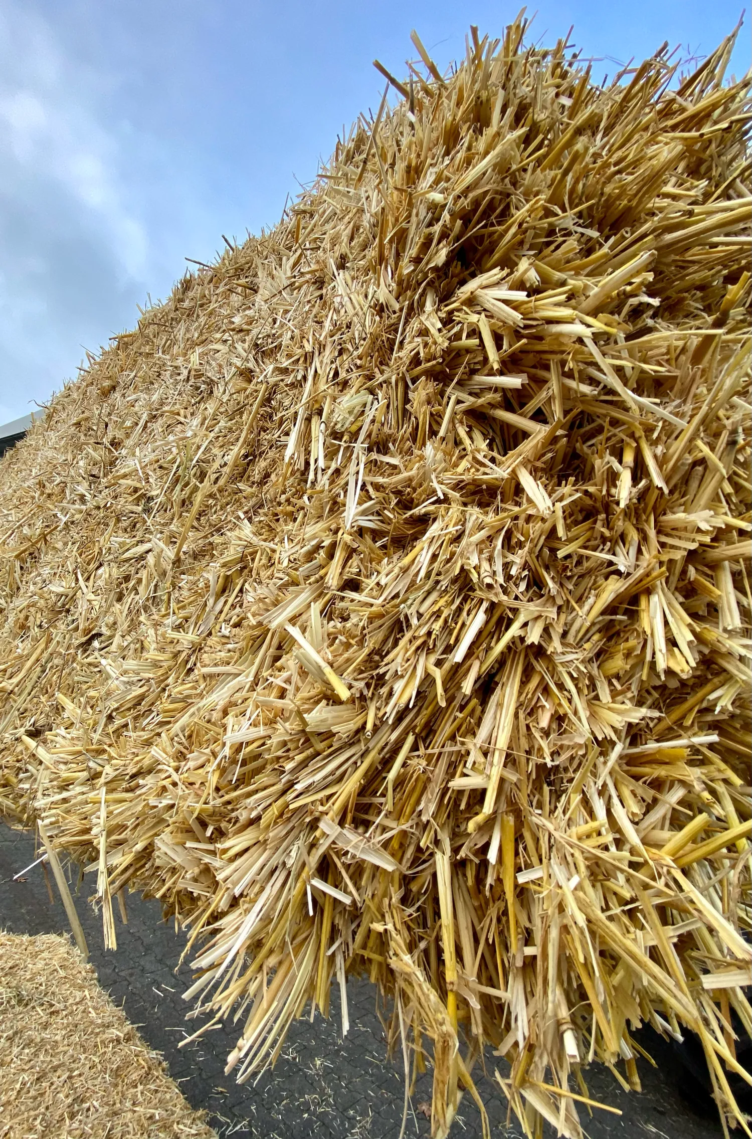 Stroh zu verkaufen - Ernte 2025, Quaderballen