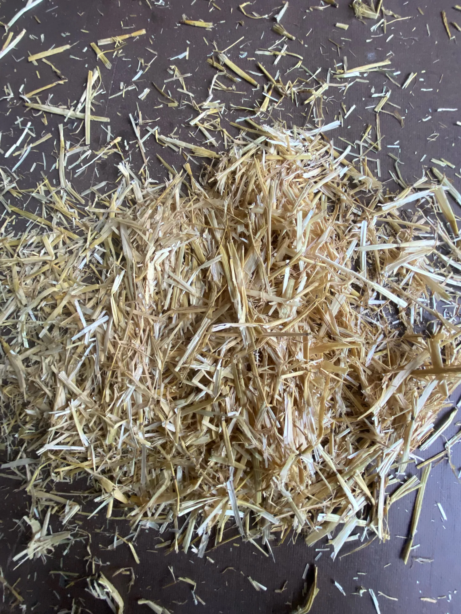 Stroh zu verkaufen - Ernte 2025, Quaderballen