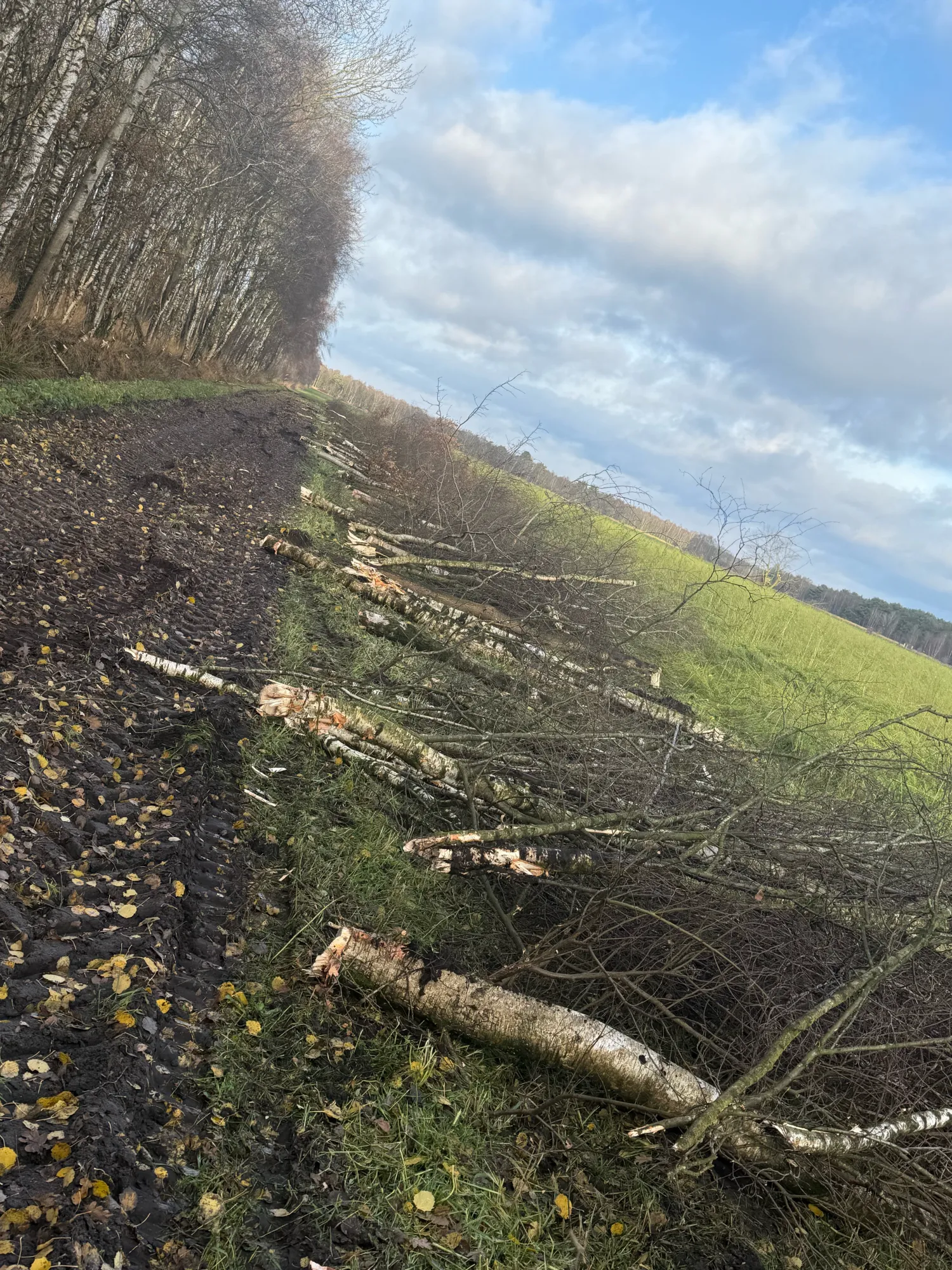 Onderhoud Heggen & Akkers met Graafmachine