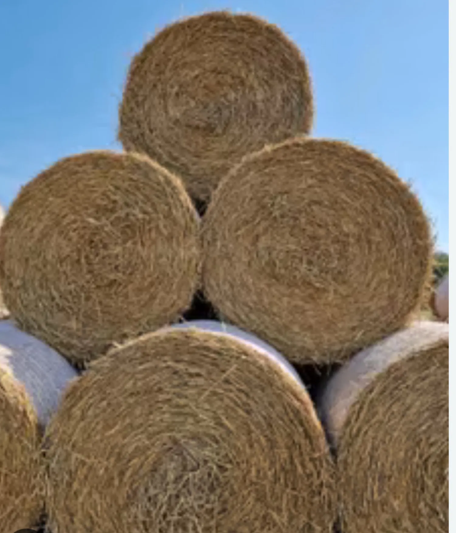 Roggestro kopen: Topkwaliteit voor de landbouw