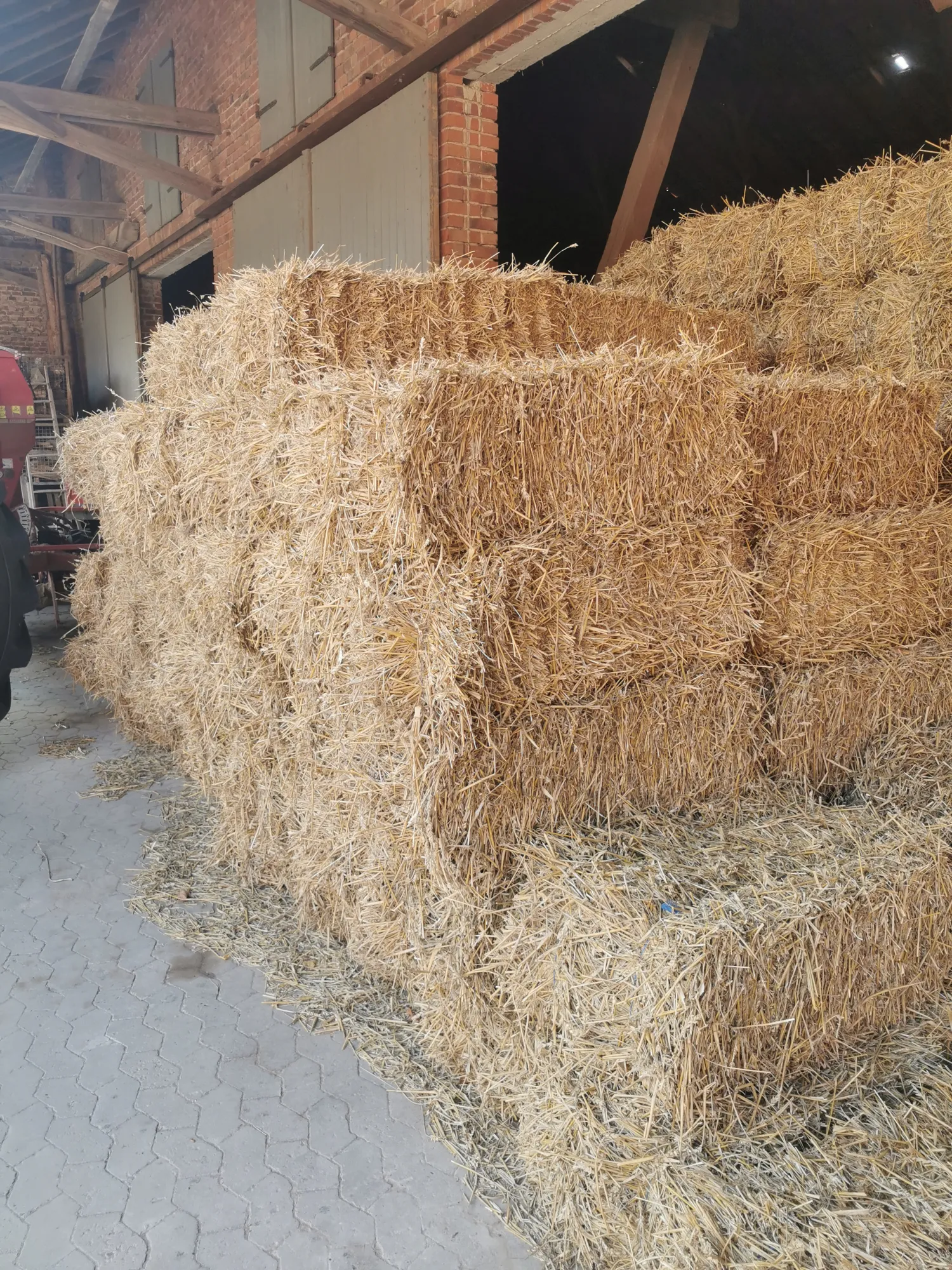 Tarwestro te koop, oogst 2025, ca. 14kg per baal