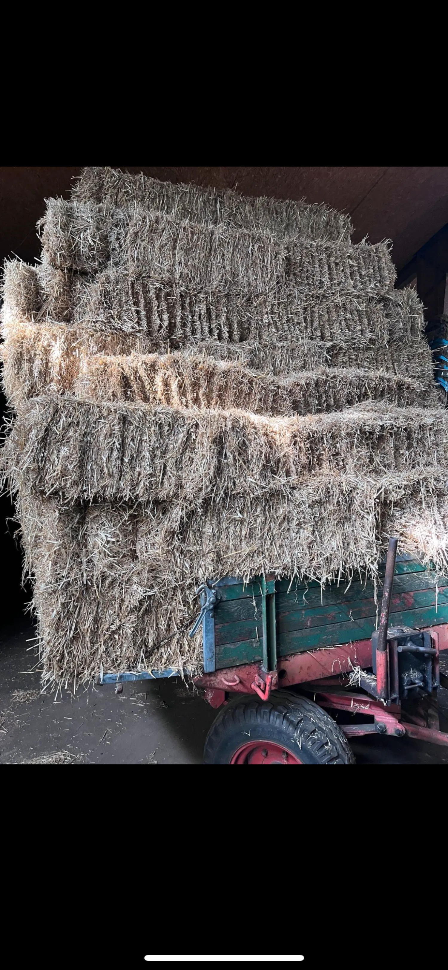 Stroh HD Ballen Gerste kaufen | Top Qualität