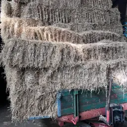 Stroh HD Ballen Gerste kaufen | Top Qualität