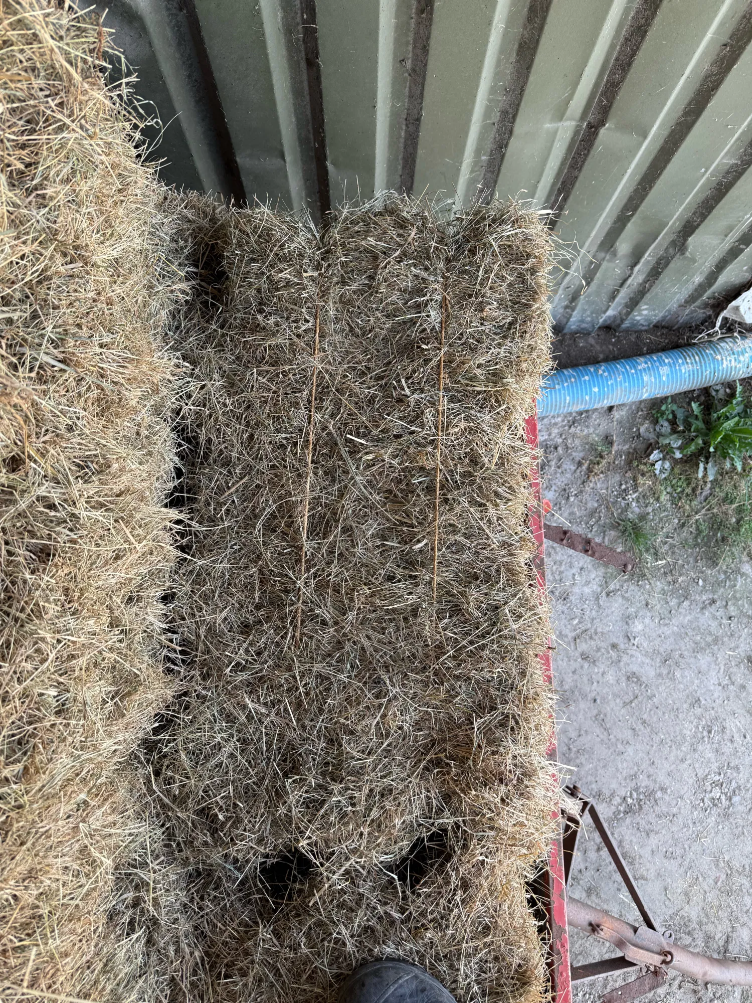 Onbemest dijkhooi te koop - Jacobskruid vrij