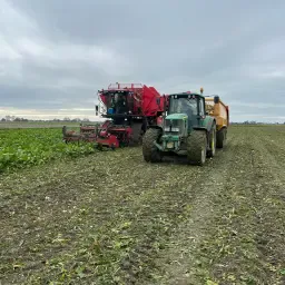 Suikerbieten LLBs te huur, Teeltseizoen 2026