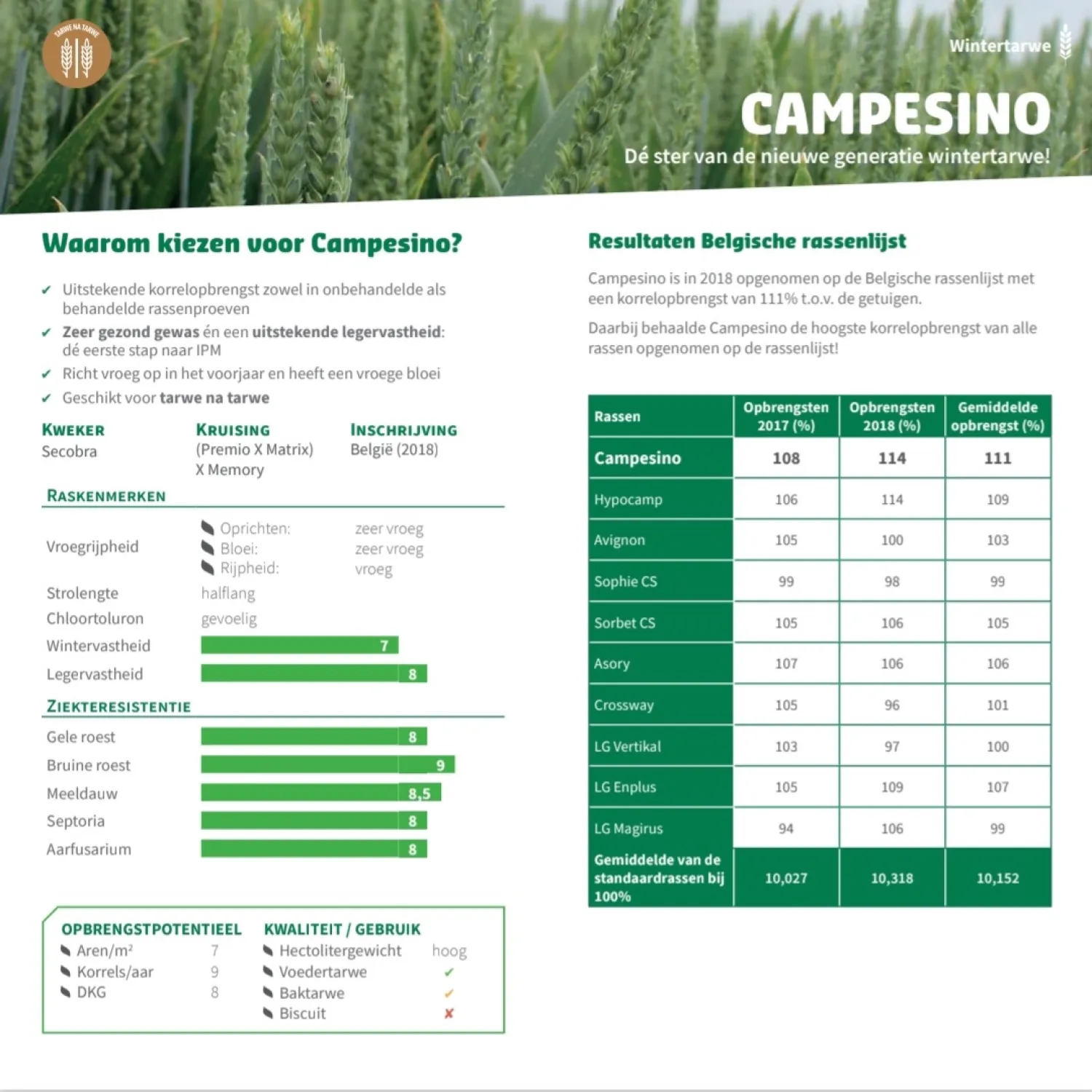 Wintertarwe Campesino - 300 kg, Latitude ontsmet