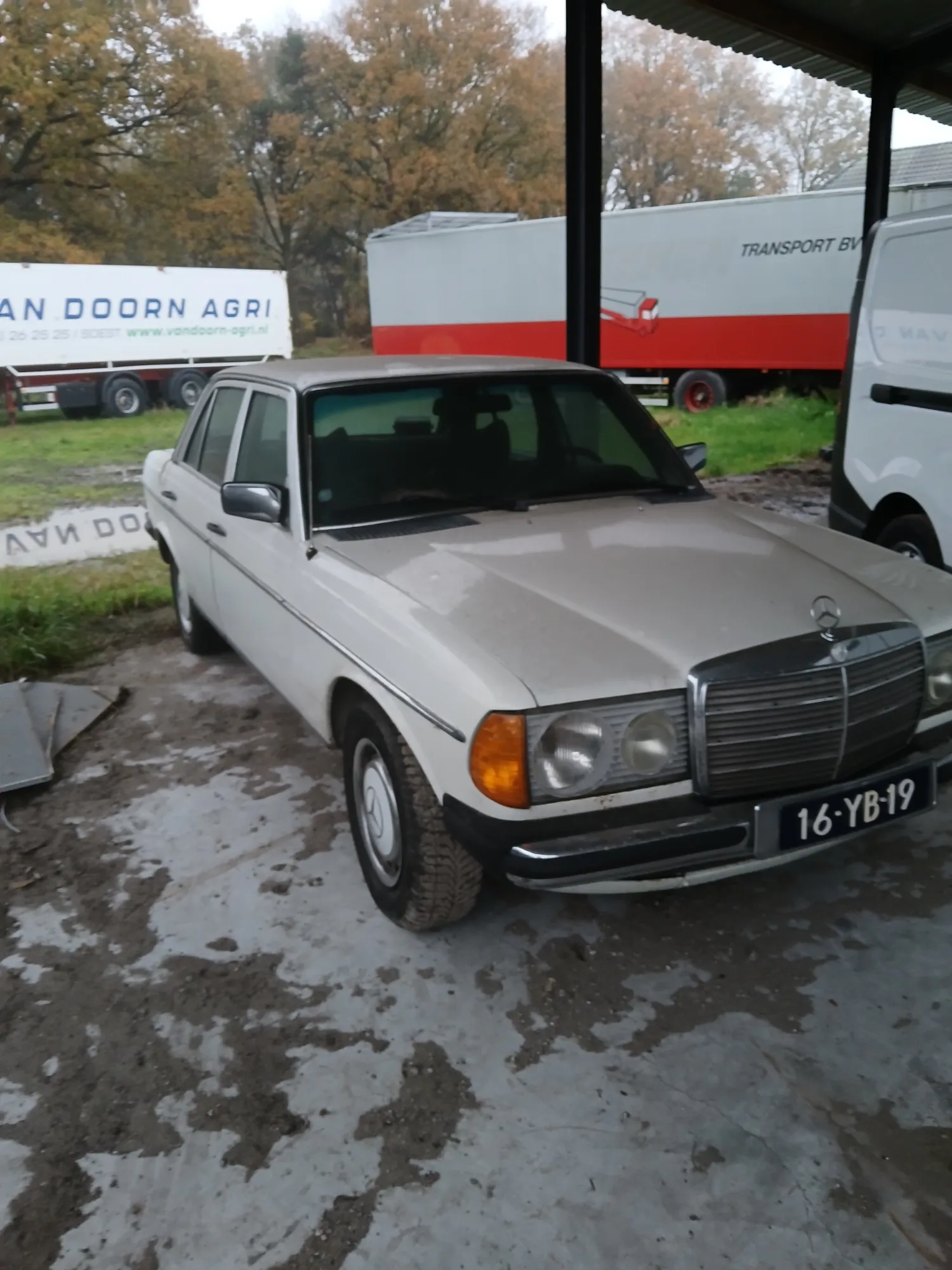 Mercedes 300 Diesel Oldtimer - 1977 Klassieker