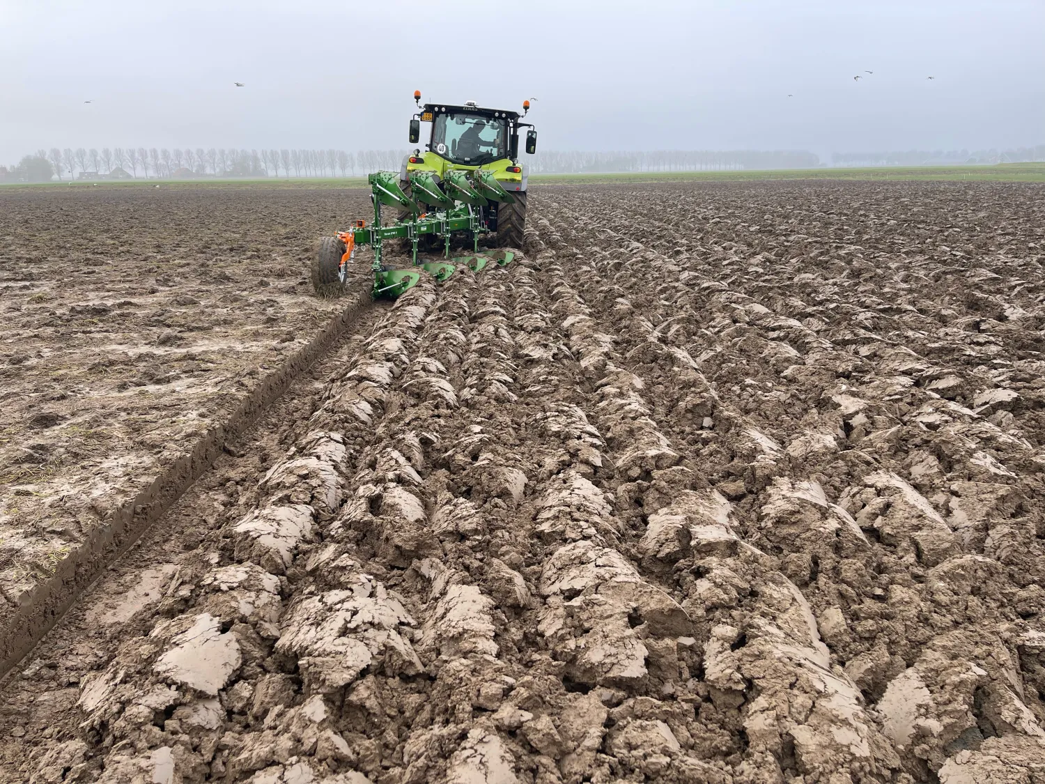 Pług Amazone Teres 300V 4+0 - Stan Nowy