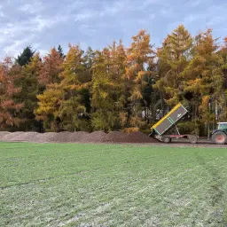 Voeder aardappelen te koop - Gewassen of uit opslag