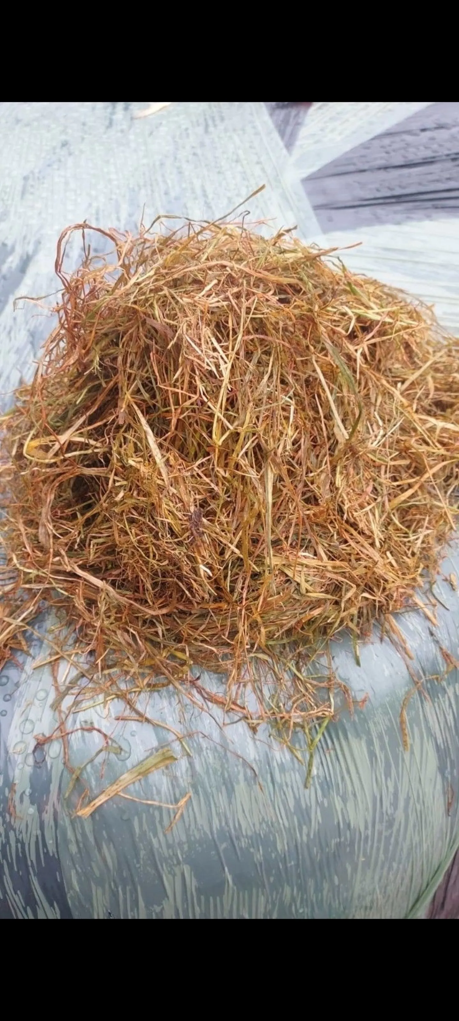 Сінаж в круглих тюках 4-й укіс - Осіння трава