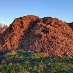 Несортиран материал за озеленяване в Грасleben