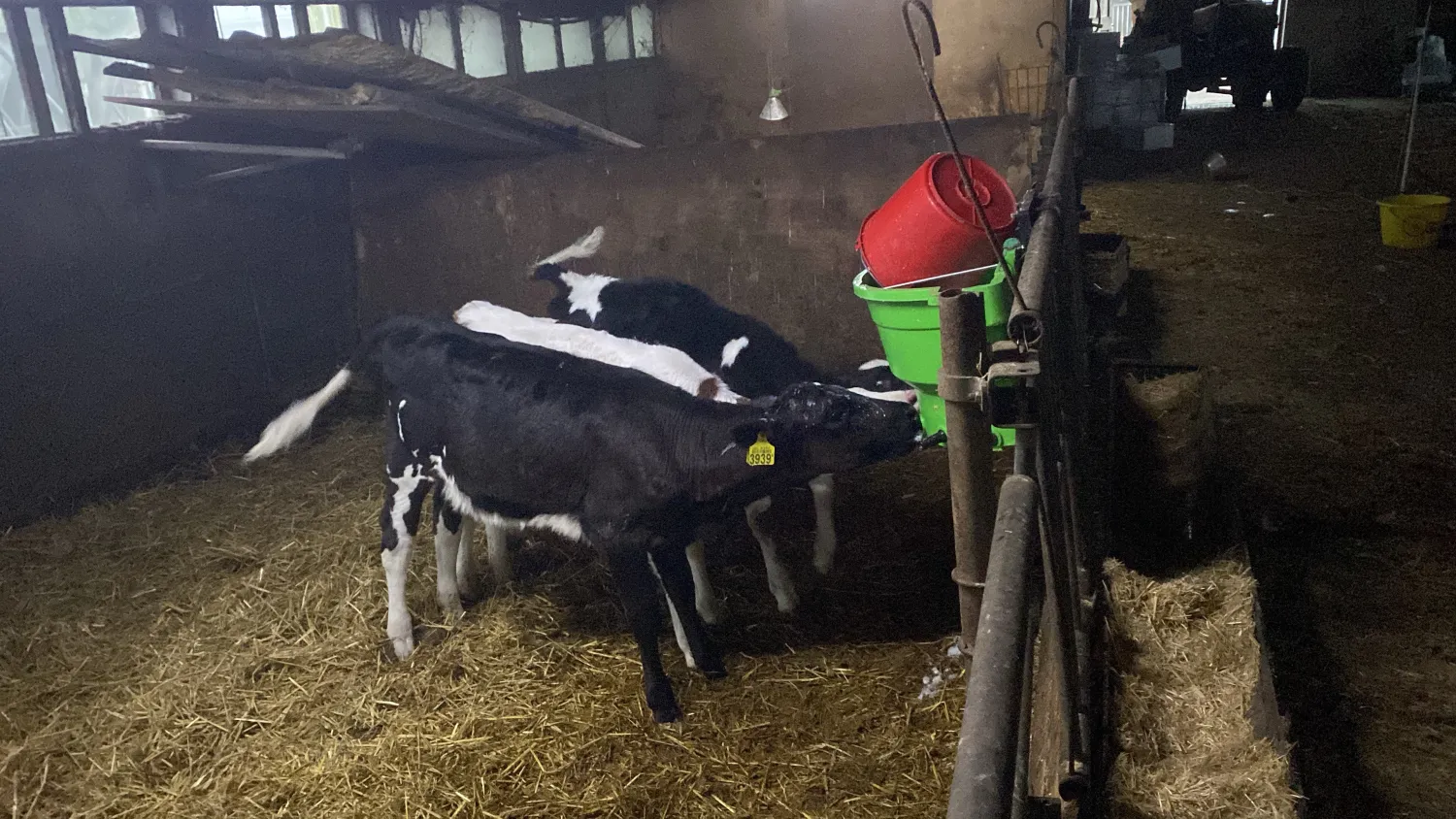 Gevraagd: Droog Kuilvoer, Gerstestro, Hooi omgeving Bantega