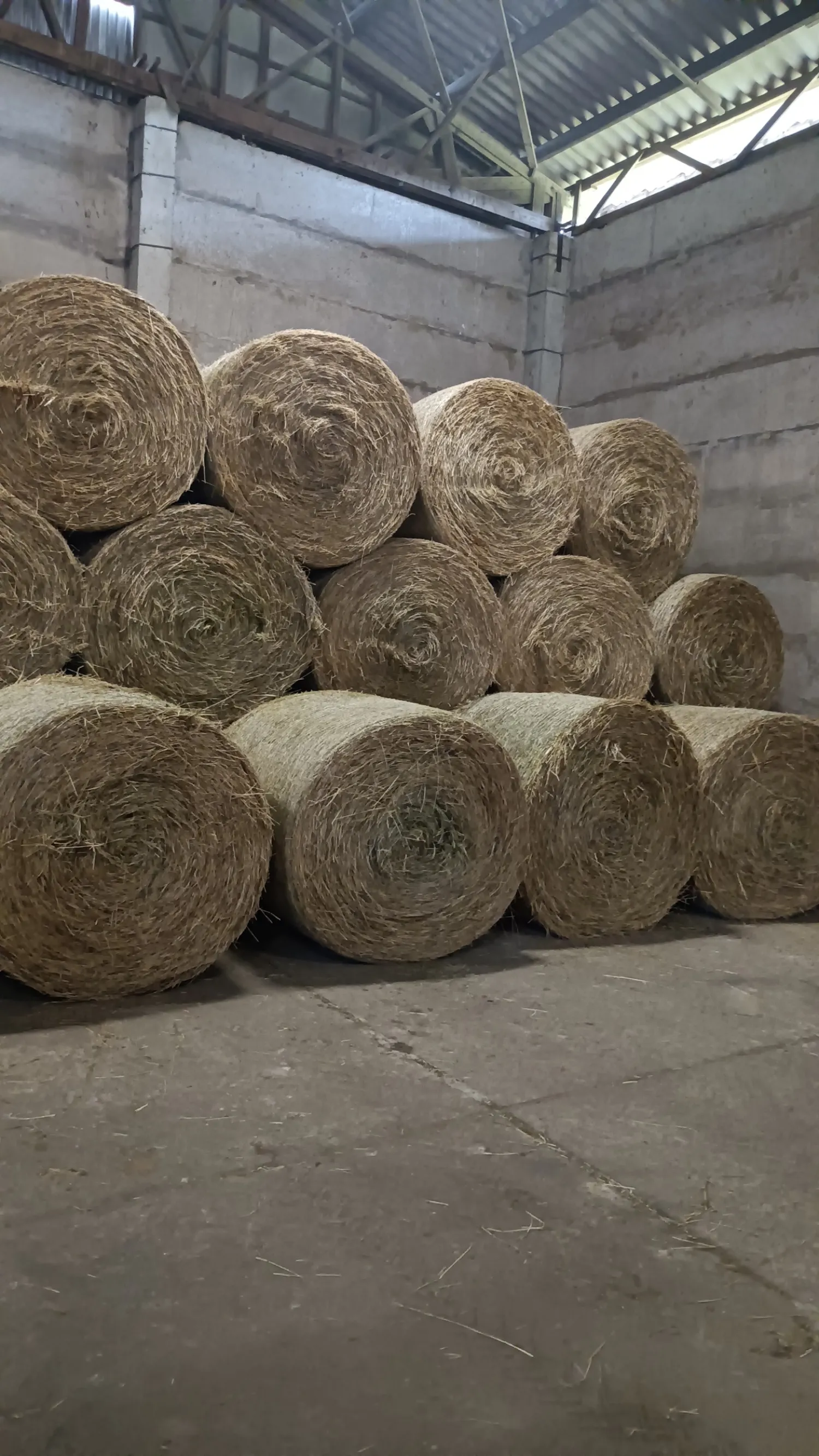 Hooi te koop: 1e snede, 1,25m diameter, binnen opgeslagen