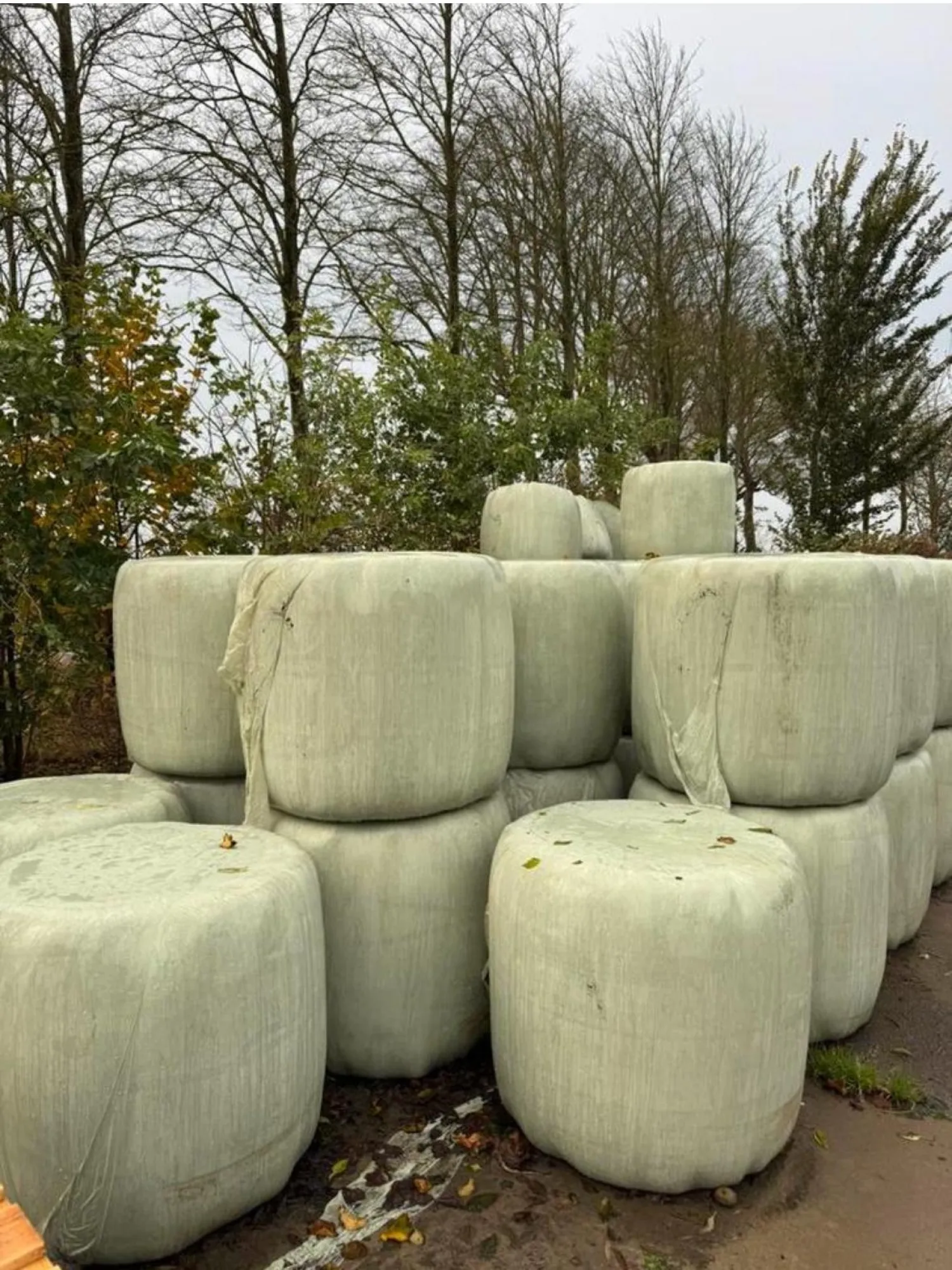 Сінажні міні-тюки | Висока якість | Вигідна ціна