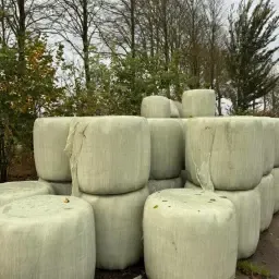 Сінажні міні-тюки | Висока якість | Вигідна ціна