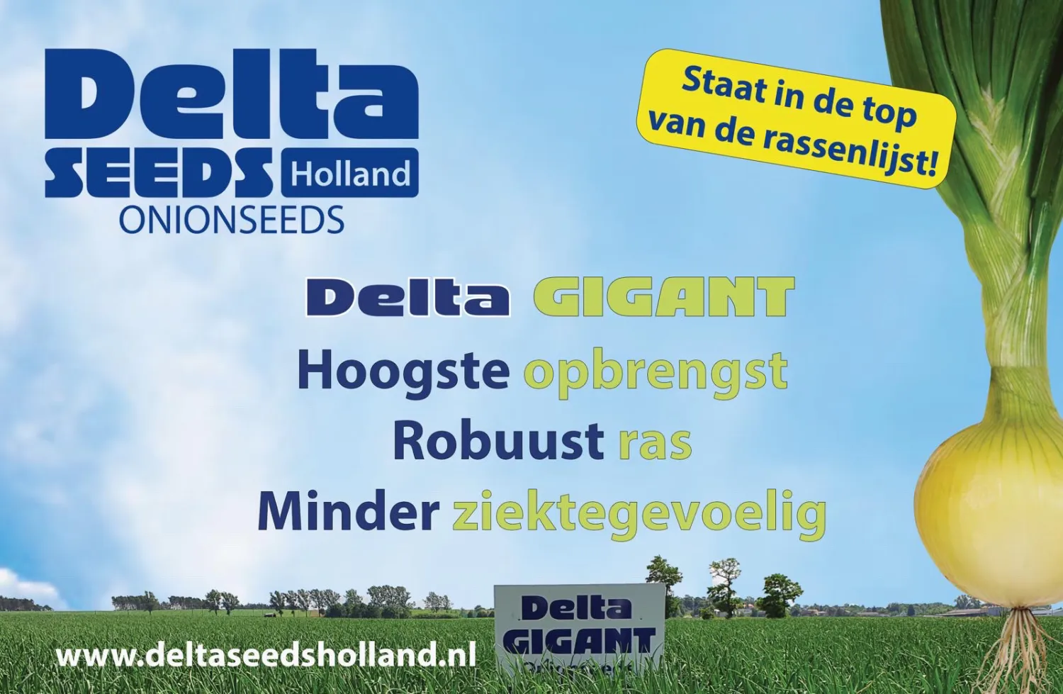 Uienzaad kopen | Topkwaliteit zaden voor uw uienteelt