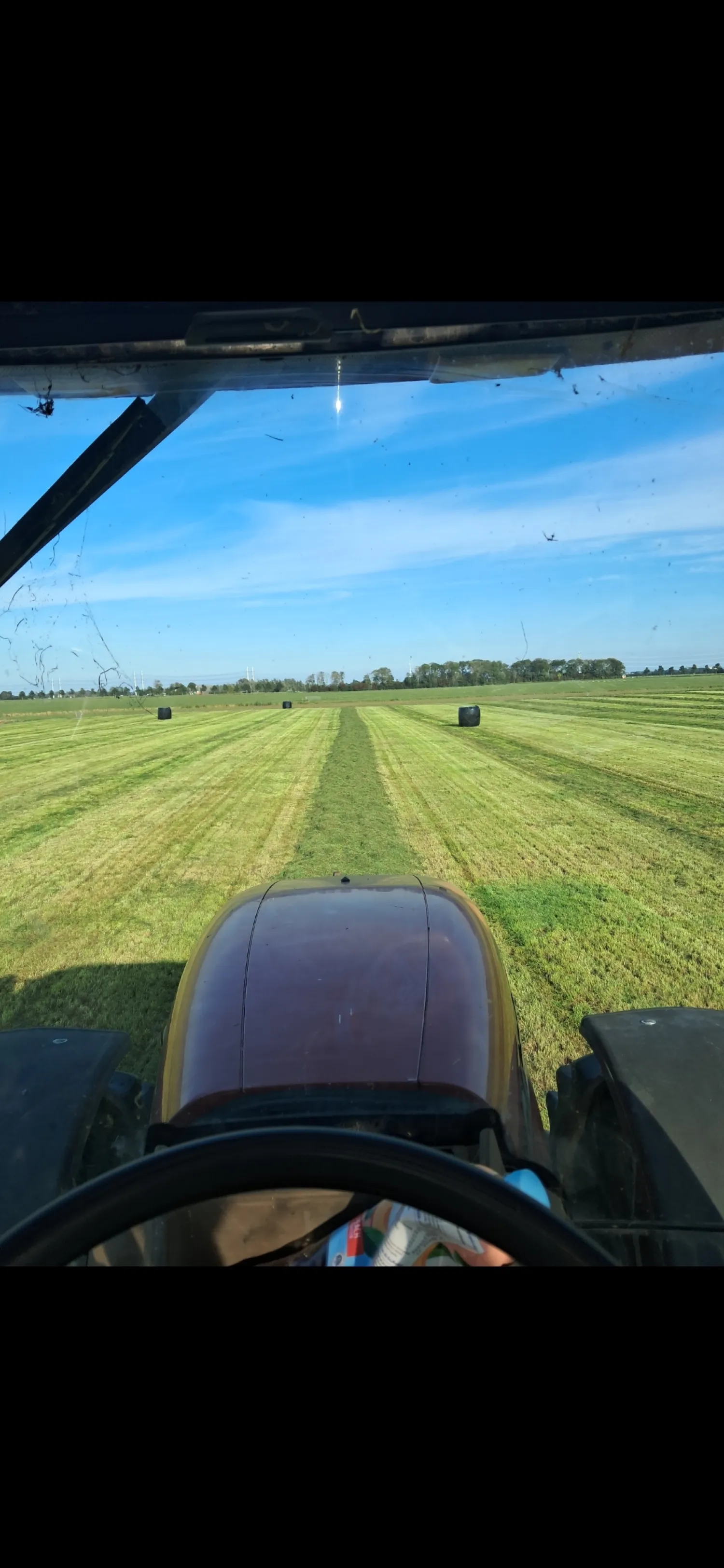 Круглі тюки сінажу на продаж | Преміум якість