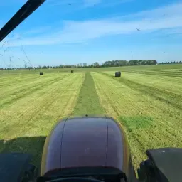 Круглі тюки сінажу на продаж | Преміум якість