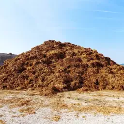 Buy Manure in Lower Saxony & Schleswig-Holstein