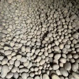 Pommes de terre Belana, 10 tonnes, Hiltpoltstein