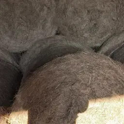 Hay Balen kopen - Droog & Geperste Ronde Balen