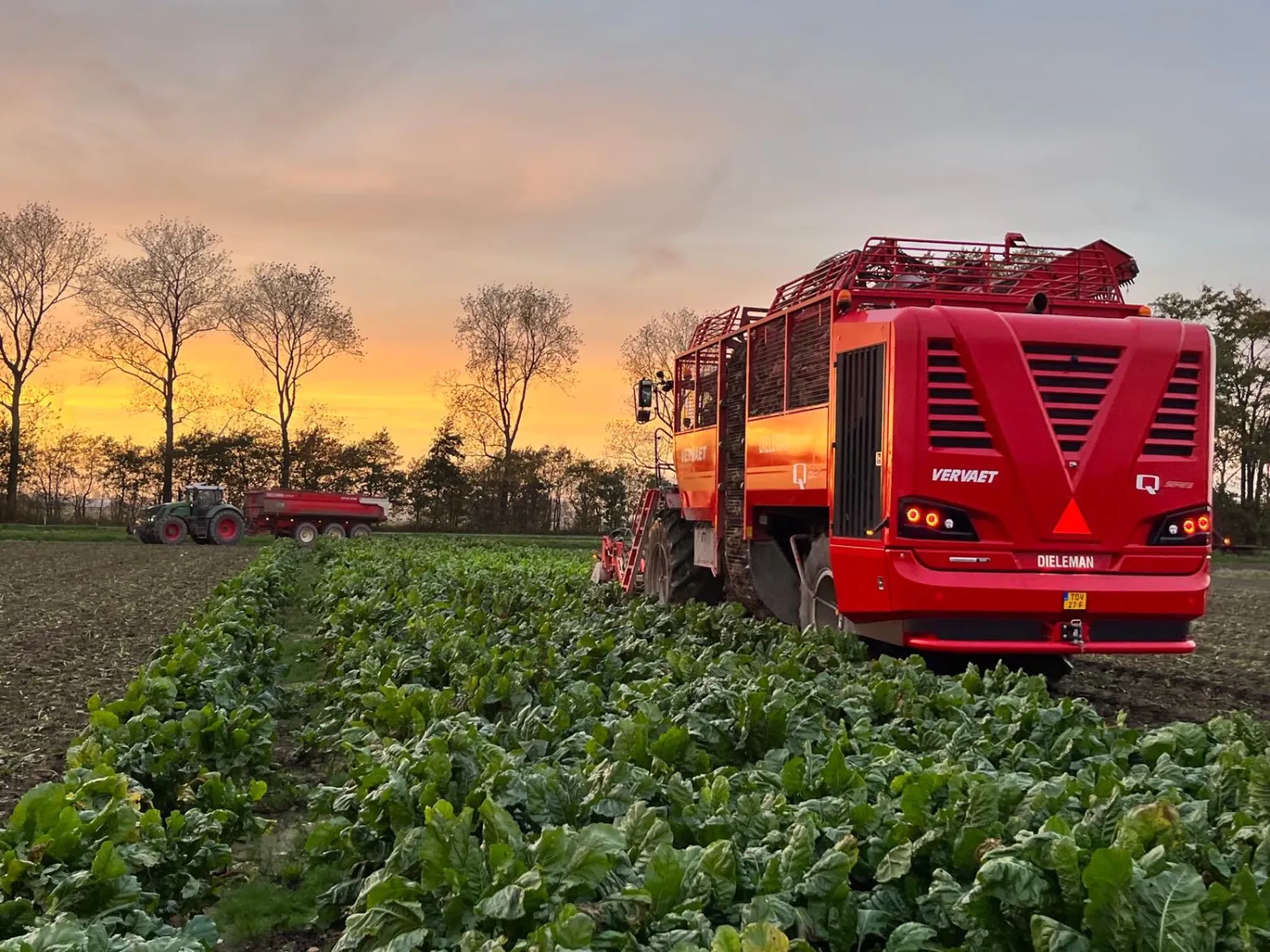 460 LLB te huur - Zone 5