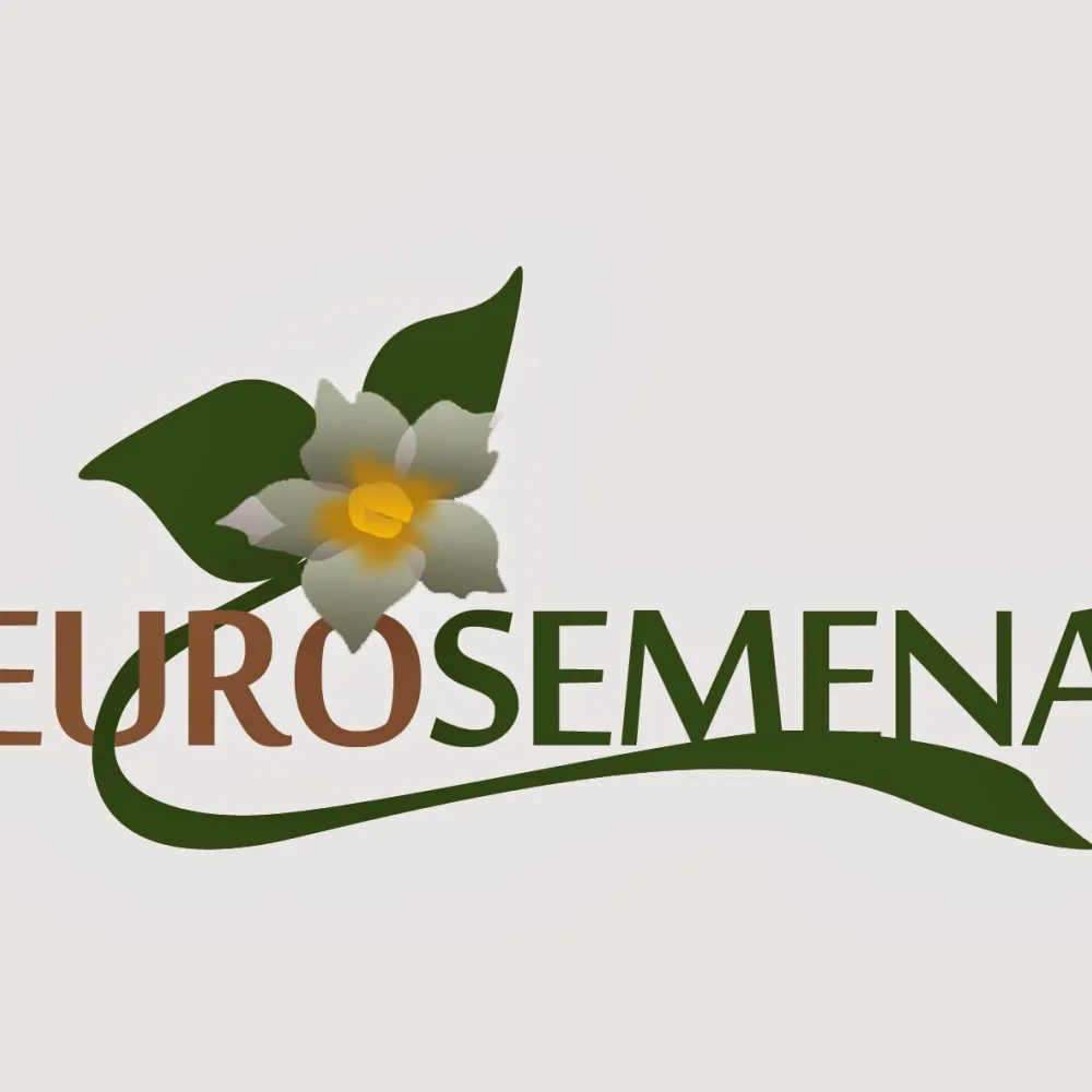 Eurosemena