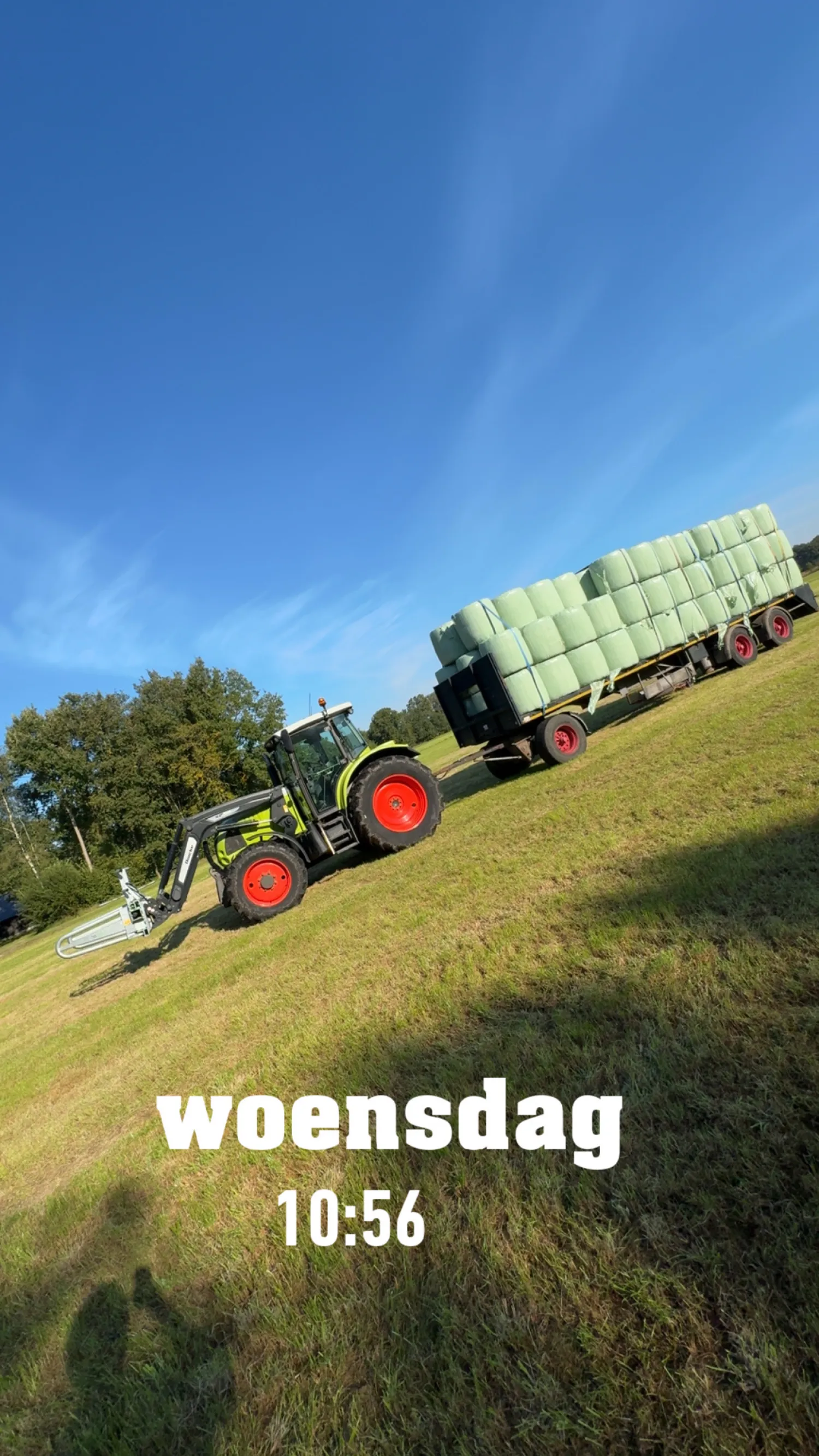 Сінаж в Міні-тюках: Велика партія в наявності