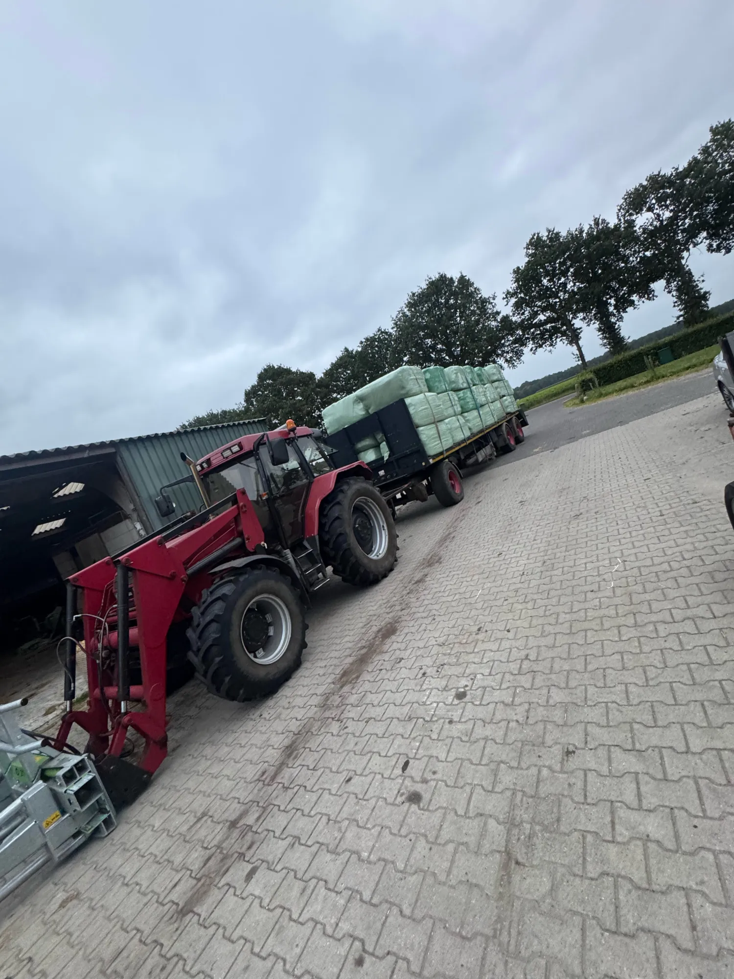 Високоякісні тюки сінажу | Подрібнені та з високим вмістом цукру