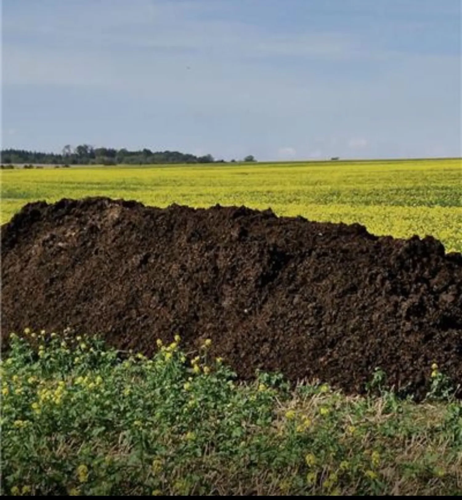 Gezeefd digestaat voor akkerbouw - Voedingsrijke meststof