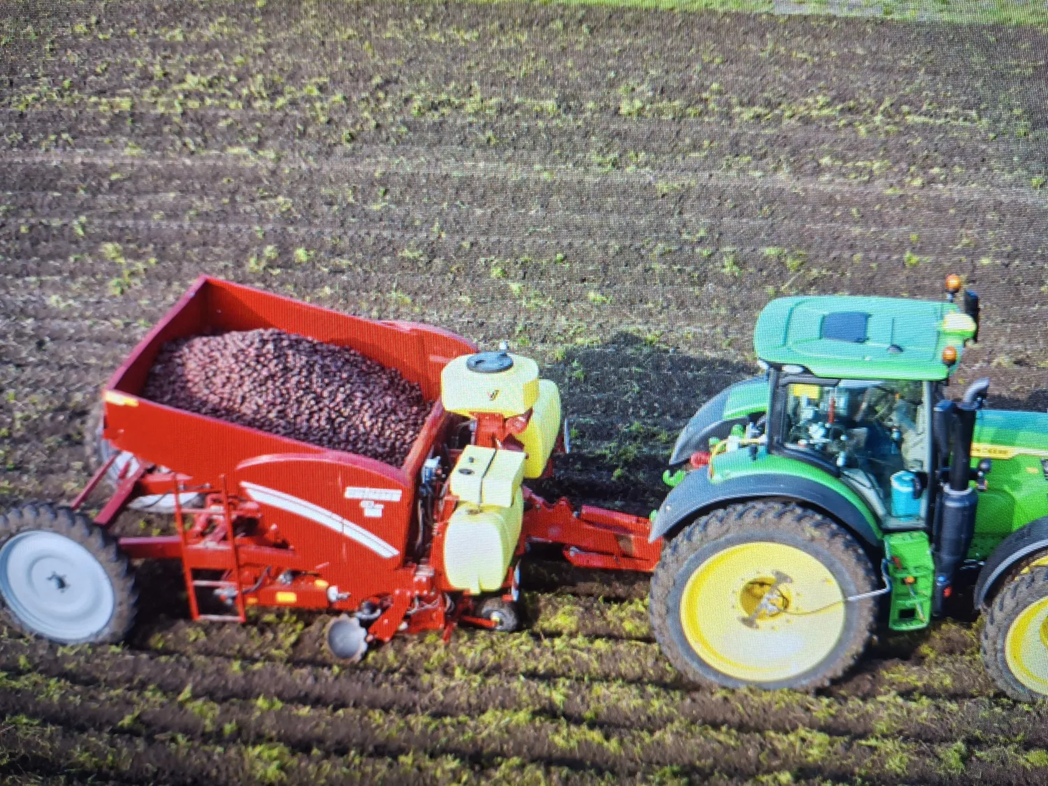 Grimme GB 430 Pootmachine - 4 Rij, GPS, Volledige Opties