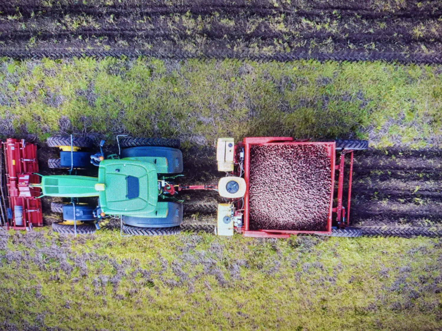 Grimme GB 430 Pootmachine - 4 Rij, GPS, Volledige Opties