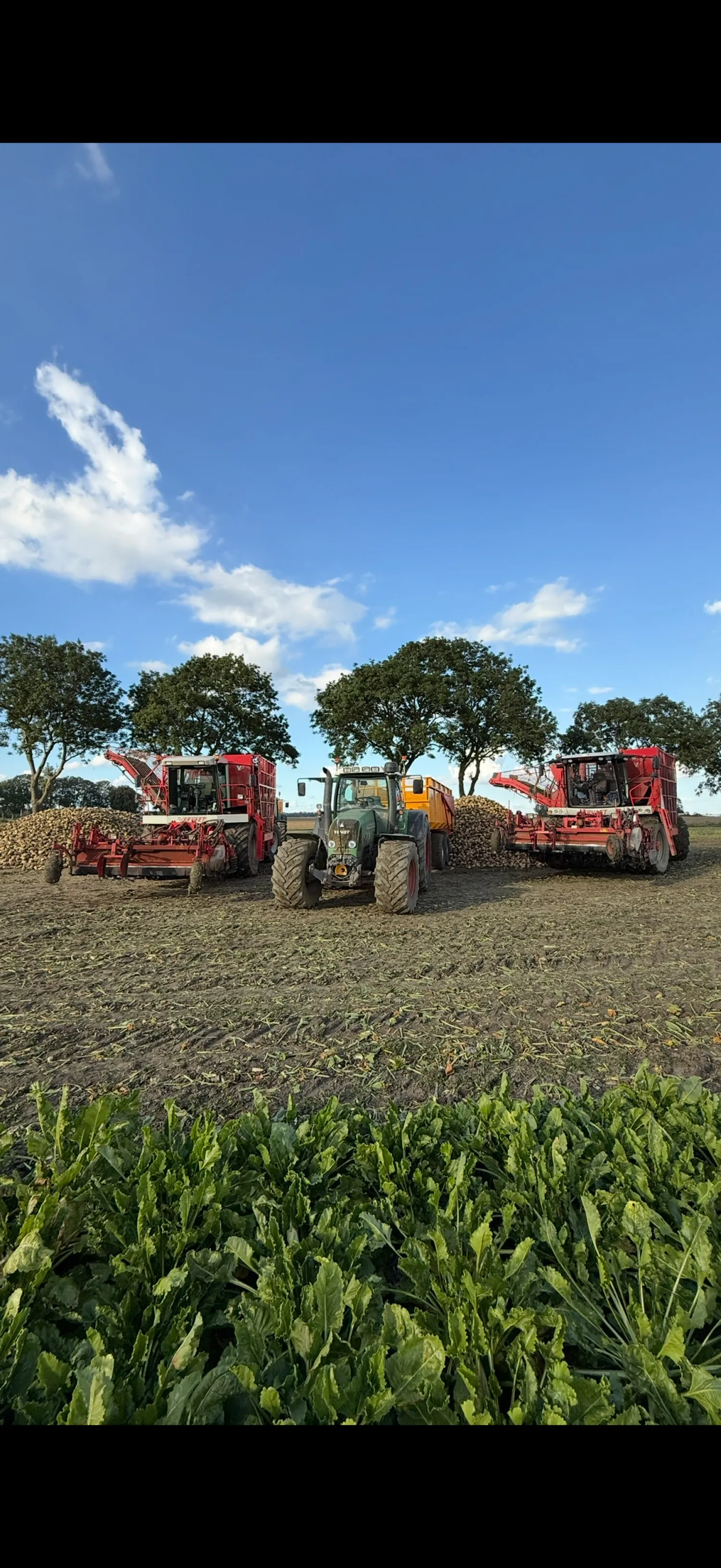 Gevraagd: Huur LLB's (400x) - Zone 1, 2 of 3