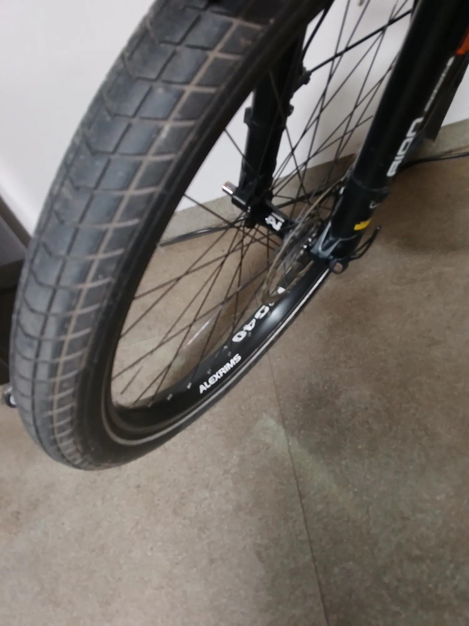 Reise & Muller Electric Bike - Powerful Battery, 45 km/h