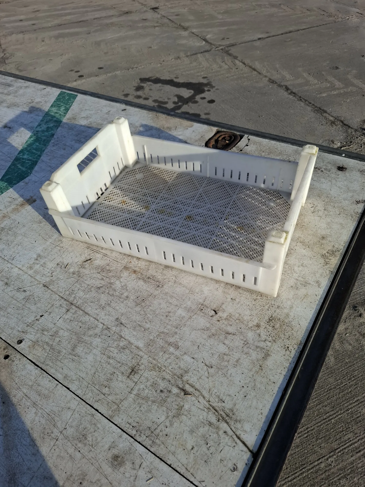 Kweekbakken 40x60 - 1400 stuks beschikbaar