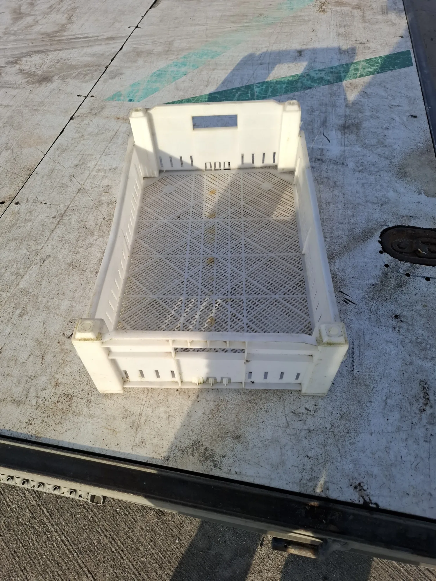 Kweekbakken 40x60 - 1400 stuks beschikbaar