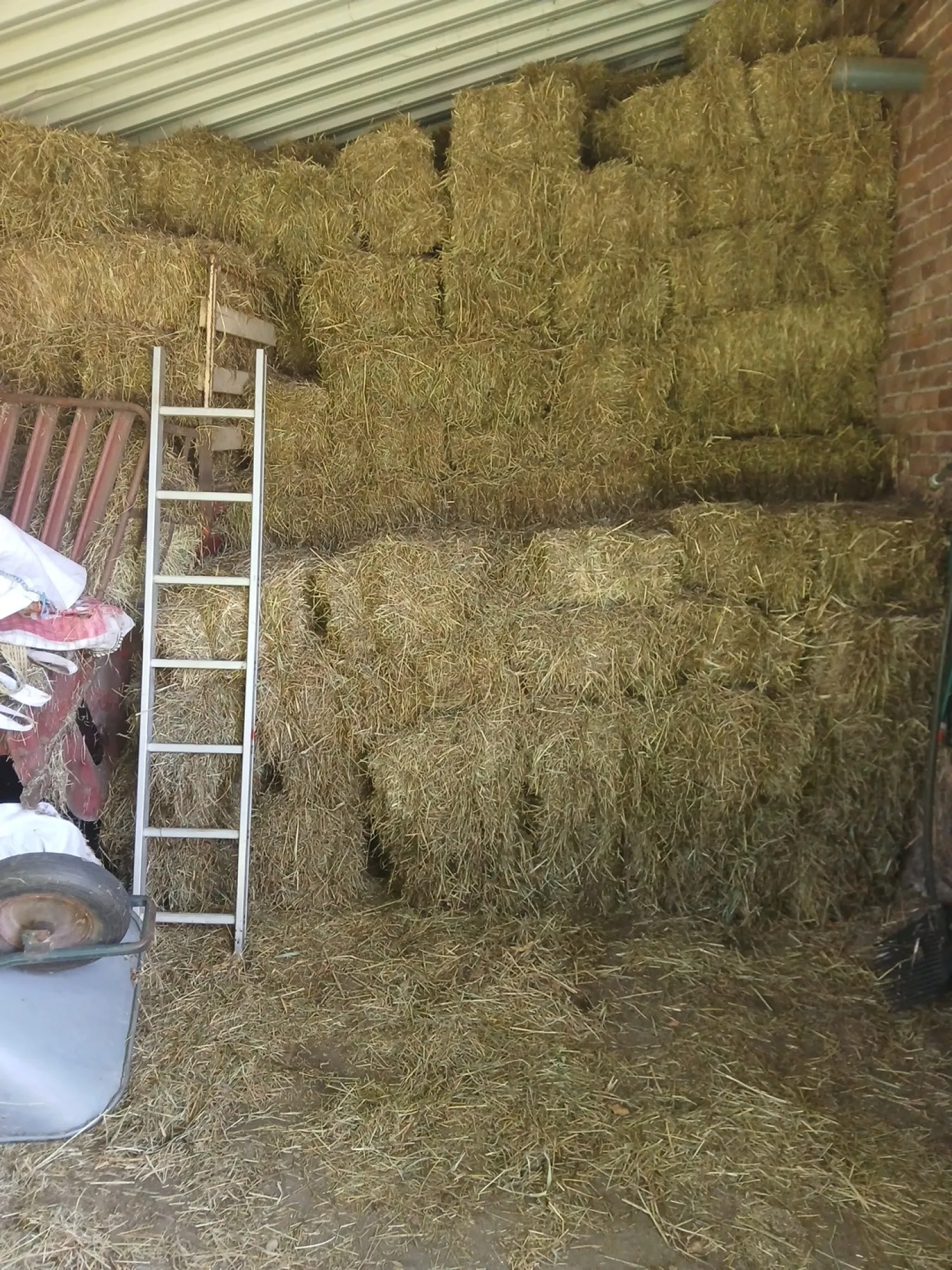 HD Hooibalen, Eerste Snede 2025 - Topkwaliteit