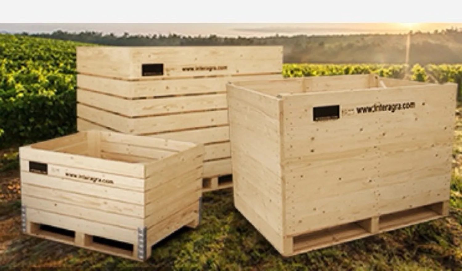 Interagra Kisten: Krachtige opslagoplossingen