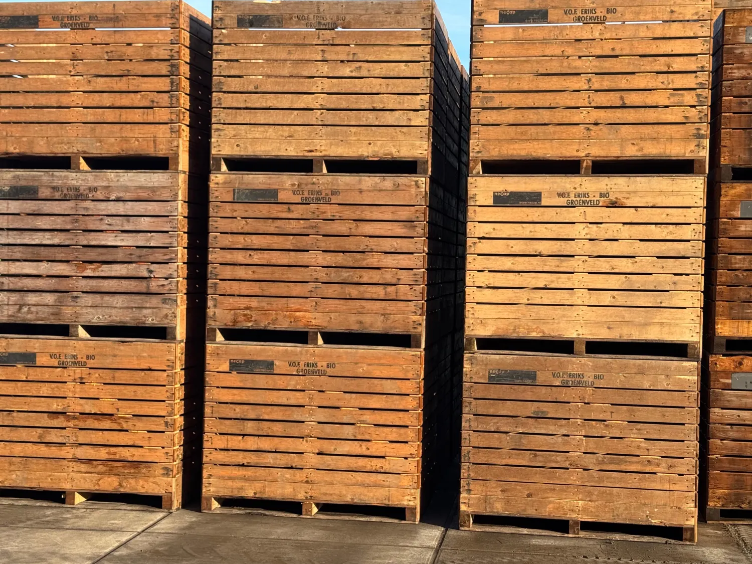 Kuubkisten te koop - Houten opslagkisten voor landbouw