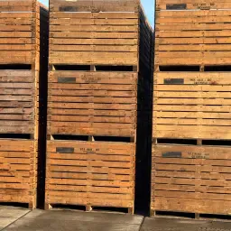 Kuubkisten te koop - Houten opslagkisten voor landbouw
