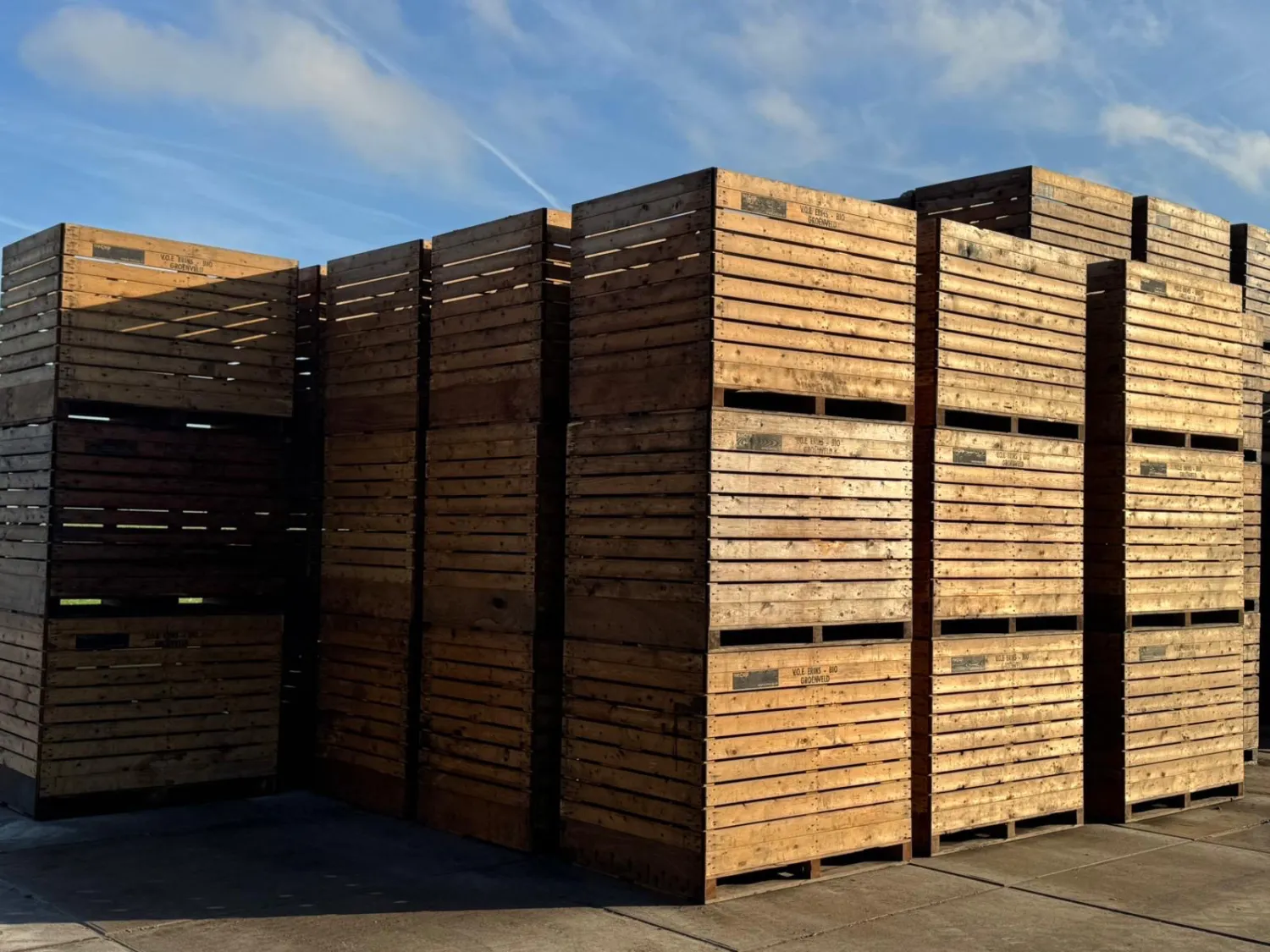 Kuubkisten te koop - Houten opslagkisten voor landbouw