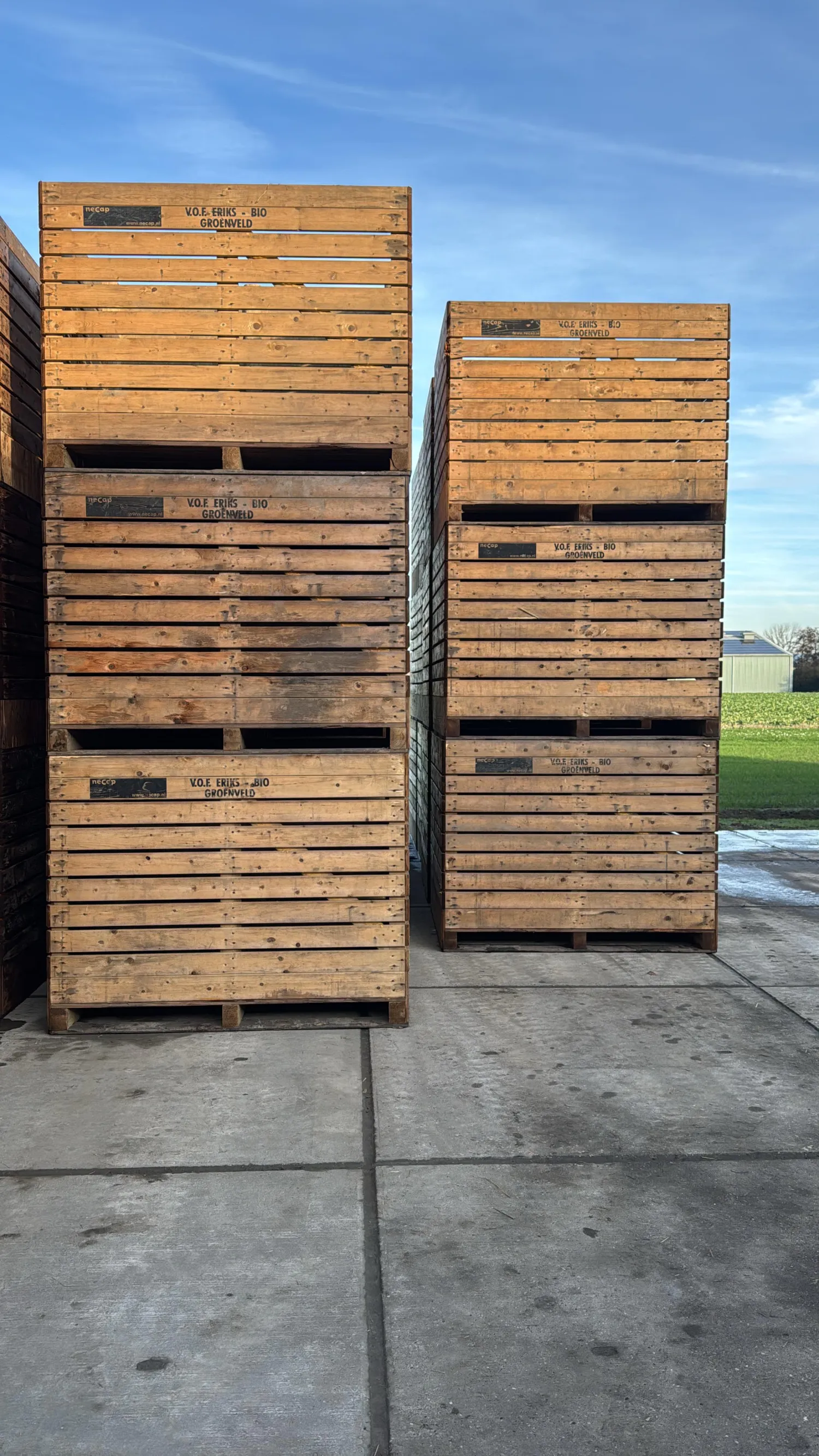 Kuubkisten te koop - Houten opslagkisten voor landbouw