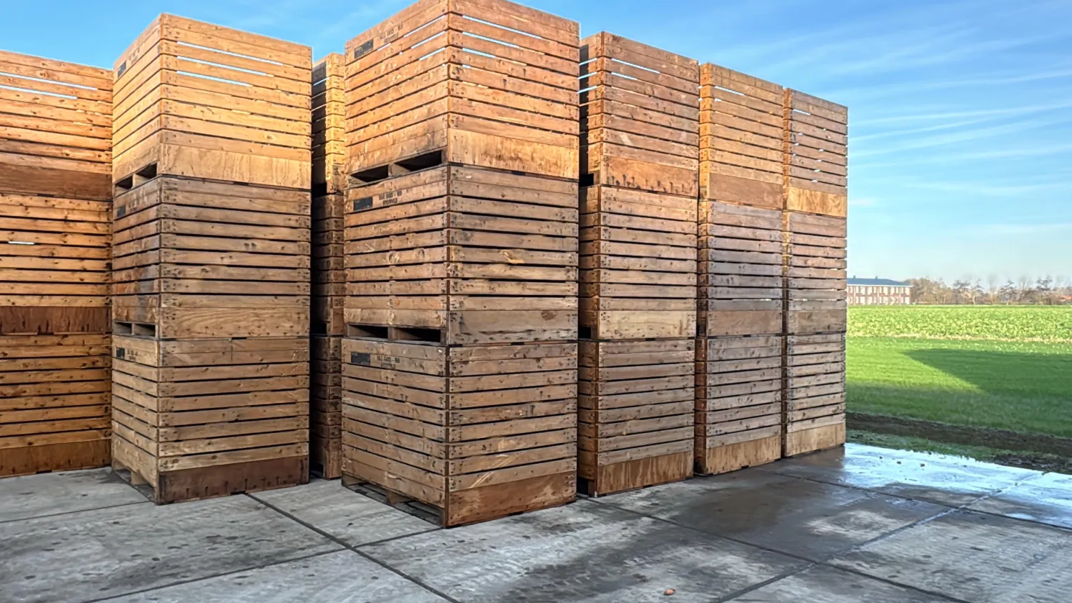 Kuubkisten te koop - Houten opslagkisten voor landbouw