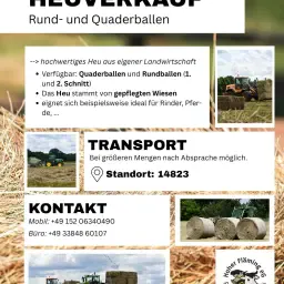 Ronde & rechthoekige balen te koop