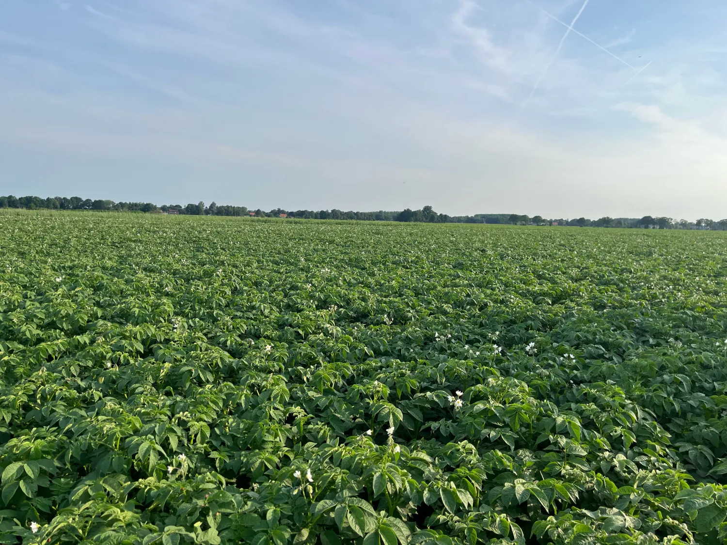 Landbouwgrond te huur gevraagd | Akkerland & weiland