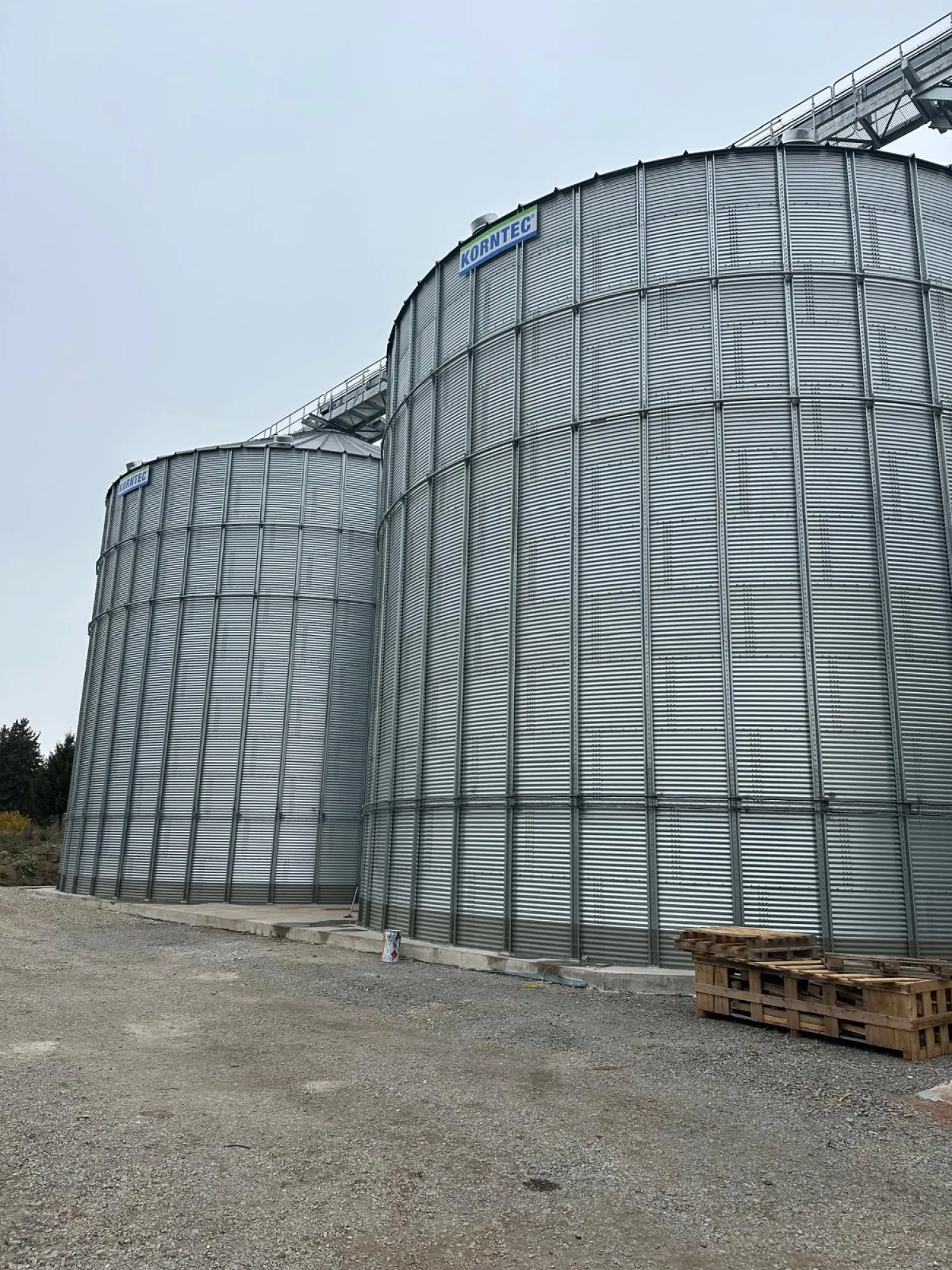 Voedergranen oogst 2026 gezocht in Thüringen